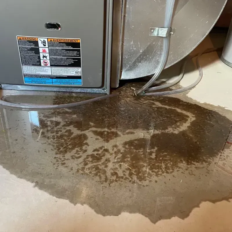 Appliance Leak Cleanup in Jackson County, OH